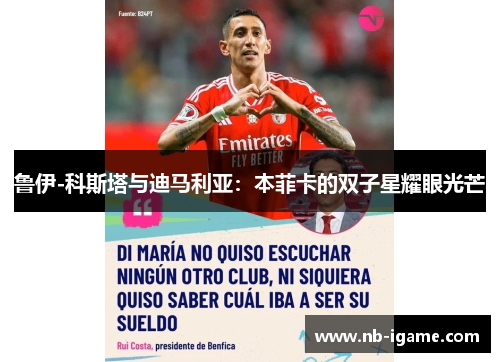 鲁伊-科斯塔与迪马利亚：本菲卡的双子星耀眼光芒