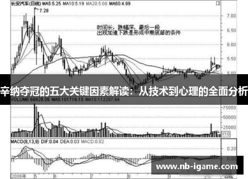 辛纳夺冠的五大关键因素解读:从技术到心理的全面分析 辛纳夺冠的五大关键因素解读:从技术到心理的全面分析