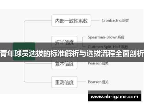 青年球员选拔的标准解析与选拔流程全面剖析