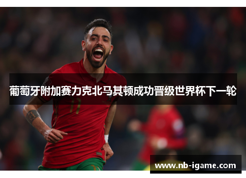 葡萄牙附加赛力克北马其顿成功晋级世界杯下一轮