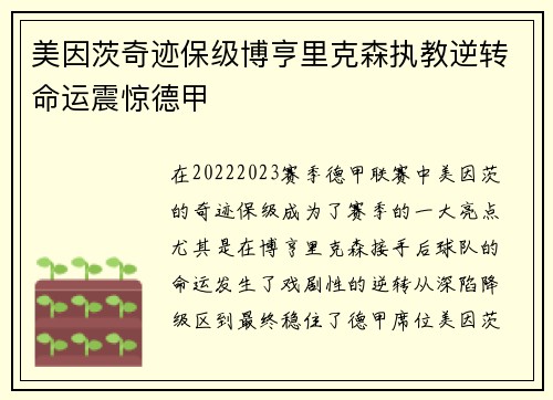 美因茨奇迹保级博亨里克森执教逆转命运震惊德甲